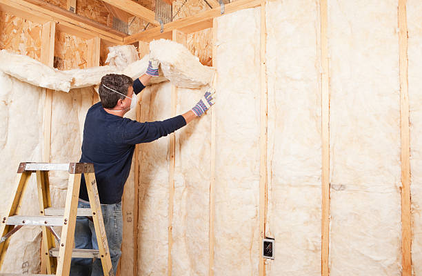 Professional Insulation Removal & Installation in Hollandale, MS